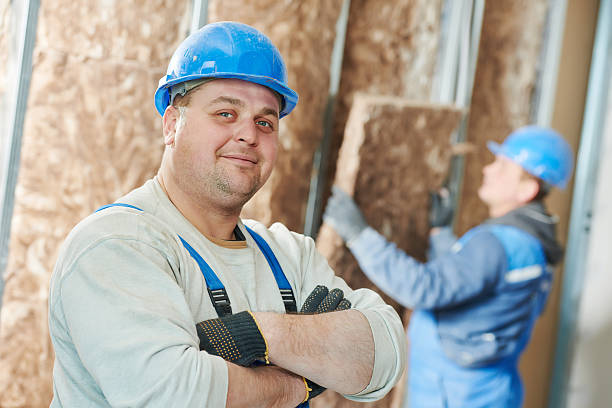 Best Eco-Friendly Insulation in Newell, WV