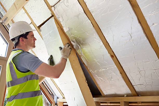 Best Geographic-Specific Insulation Services in Newell, WV