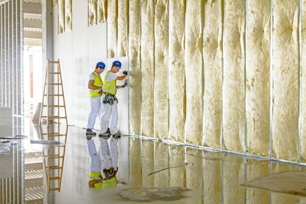 Types of Insulation We Offer in Newell, WV